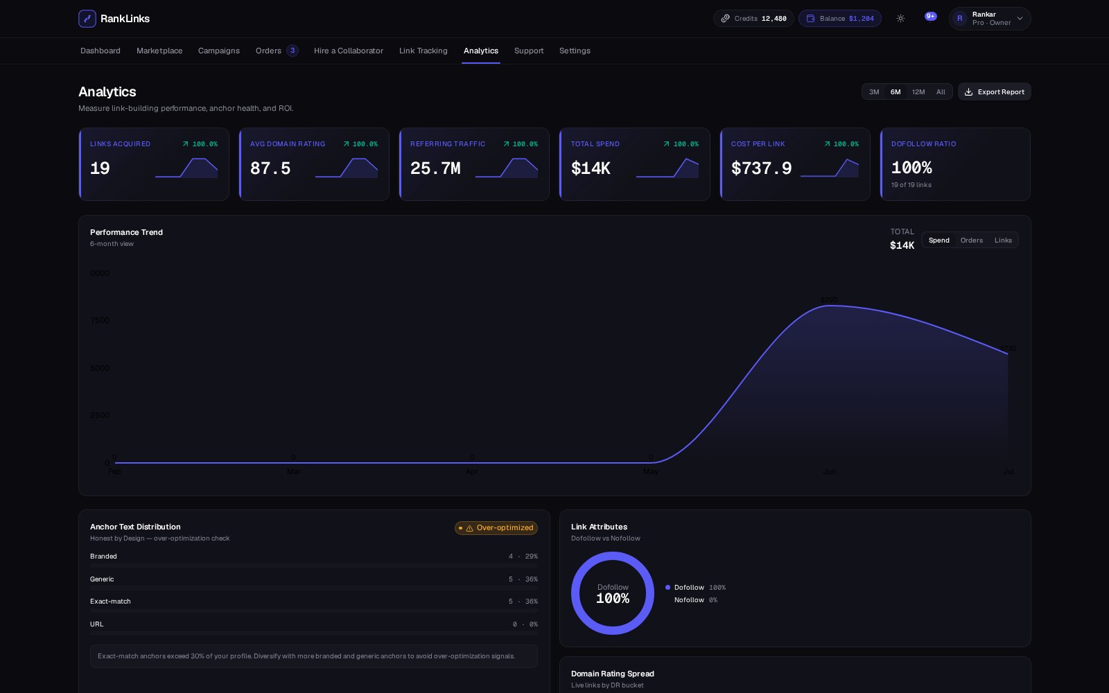 RankLinks analytics with anchor distribution, DR spread and ROI metrics